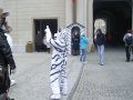 IMGP3174.JPG